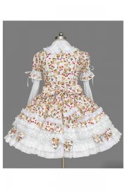 Adult Costume Lolita Princess Dress